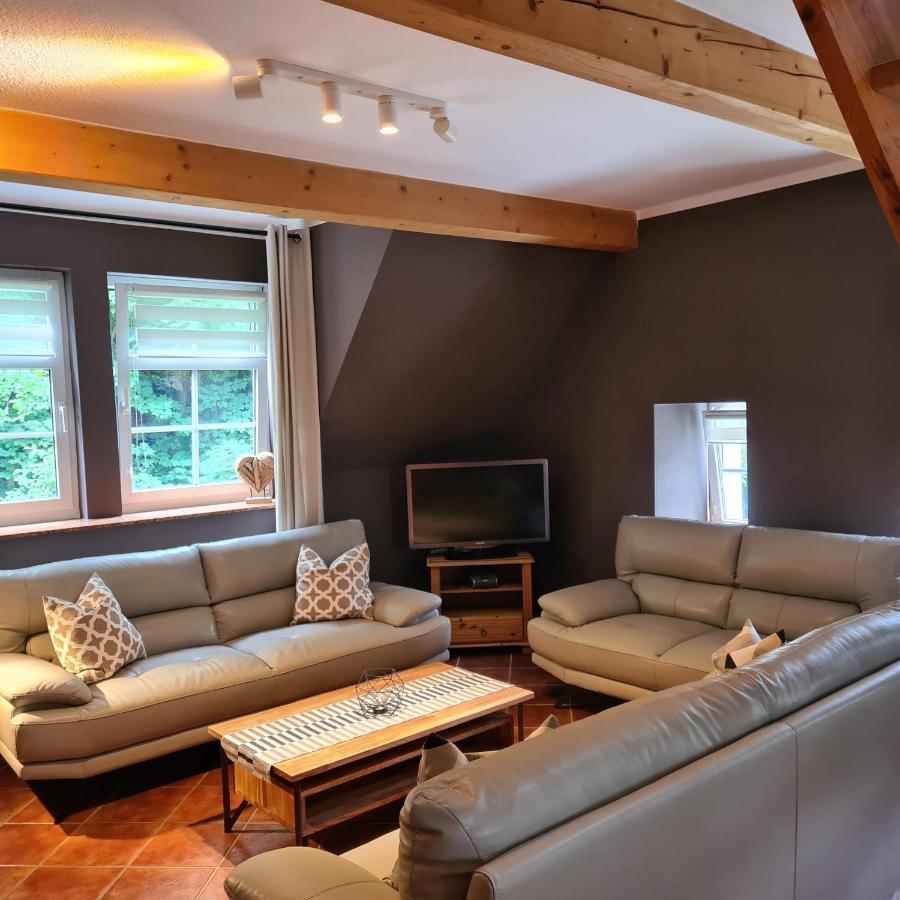 Appartements Im "Landhaus Am Frohnauer Hammer" Annaberg-Buchholz Εξωτερικό φωτογραφία